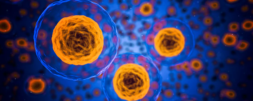 Proteína NRF2: para qué sirve y cómo Genoxidil apoya su activación
